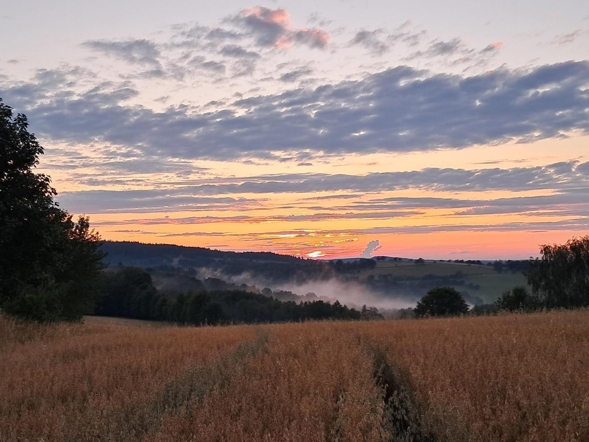 Przytulia Blekitny Appartement Kopaniec Buitenkant foto