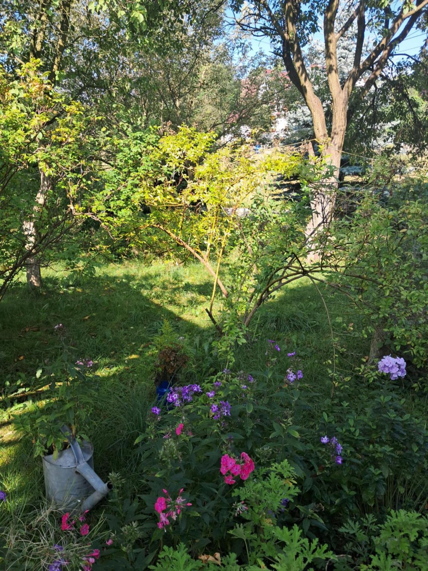Przytulia Blekitny Appartement Kopaniec Buitenkant foto