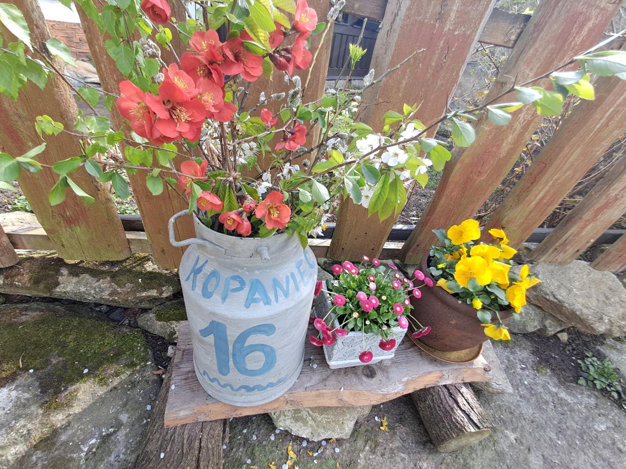 Przytulia Blekitny Appartement Kopaniec Buitenkant foto