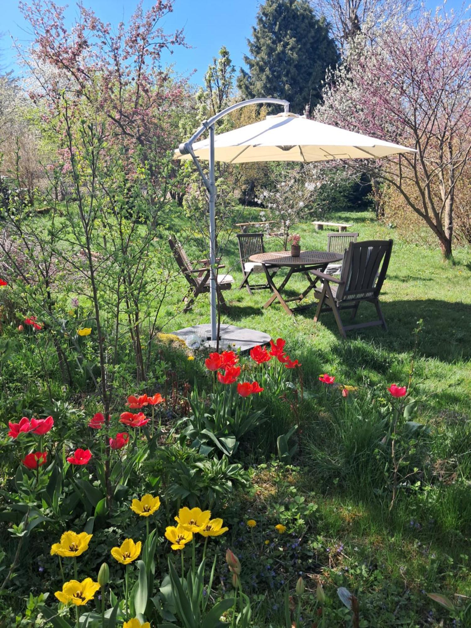 Przytulia Blekitny Appartement Kopaniec Buitenkant foto
